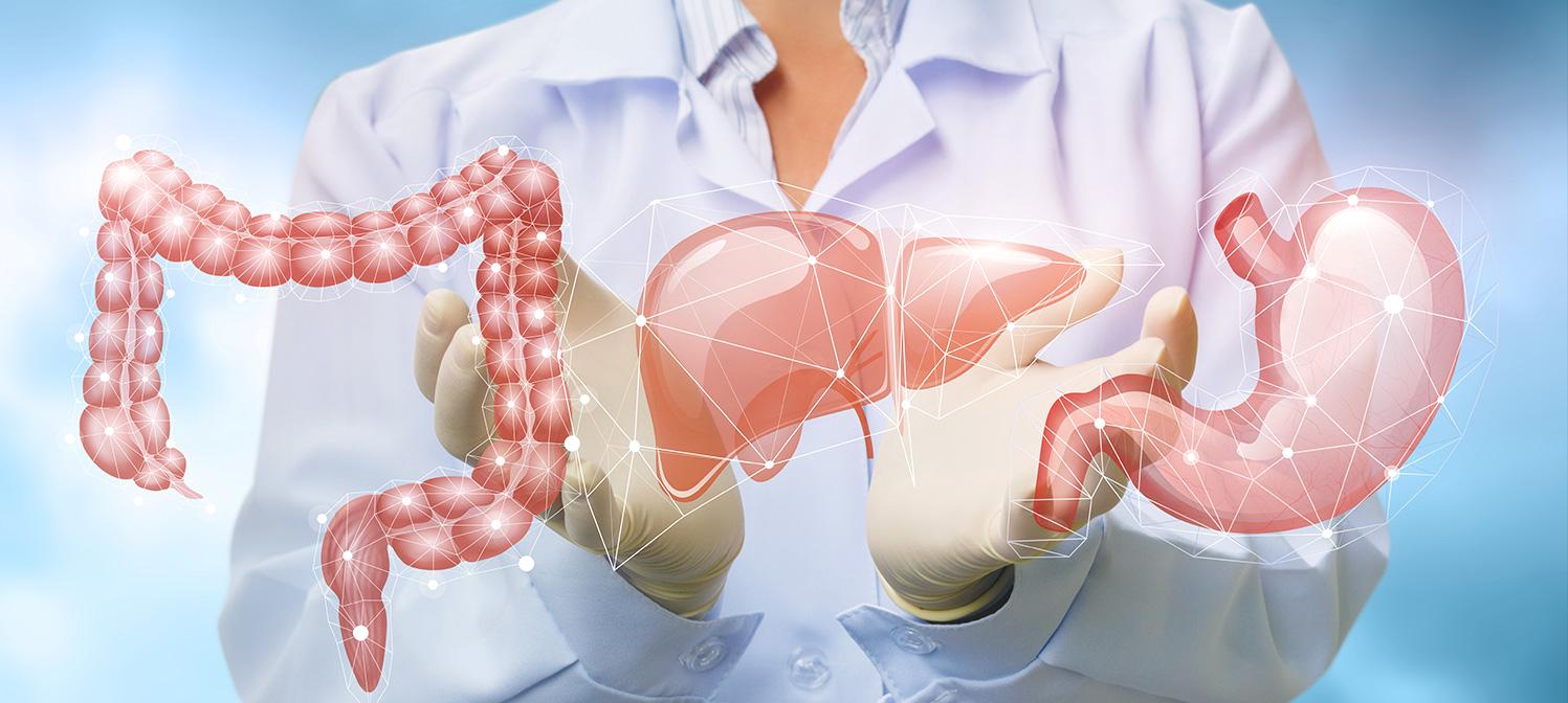 Gastro a sidi maarouf